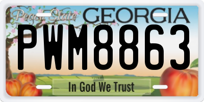 GA license plate PWM8863