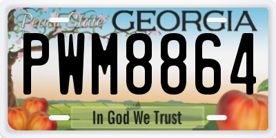 GA license plate PWM8864