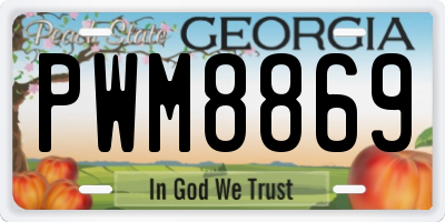 GA license plate PWM8869