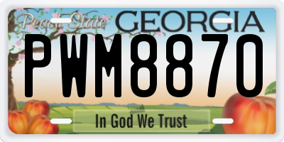 GA license plate PWM8870