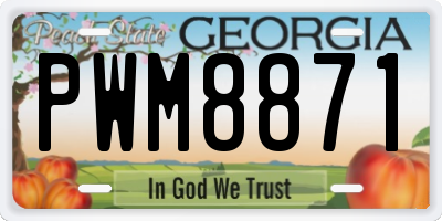 GA license plate PWM8871