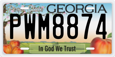 GA license plate PWM8874