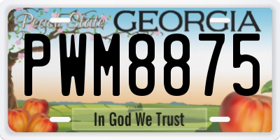 GA license plate PWM8875