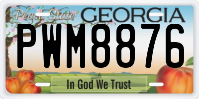 GA license plate PWM8876