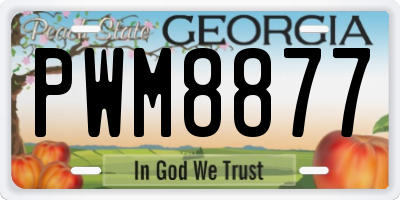 GA license plate PWM8877
