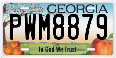 GA license plate PWM8879