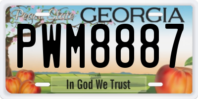 GA license plate PWM8887