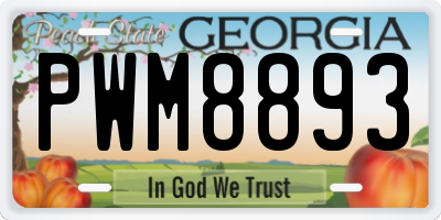 GA license plate PWM8893