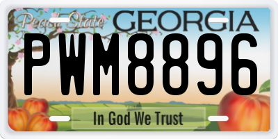 GA license plate PWM8896