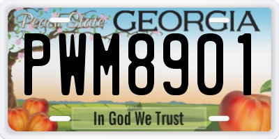 GA license plate PWM8901
