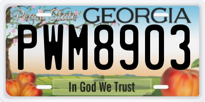 GA license plate PWM8903