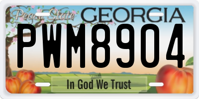 GA license plate PWM8904