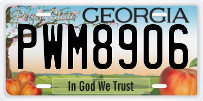 GA license plate PWM8906