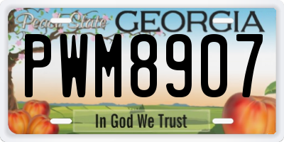 GA license plate PWM8907