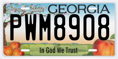 GA license plate PWM8908