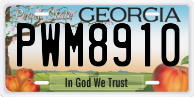 GA license plate PWM8910