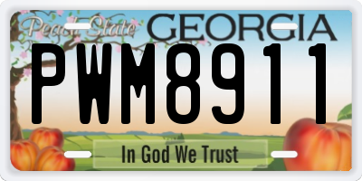 GA license plate PWM8911
