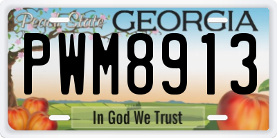 GA license plate PWM8913