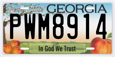 GA license plate PWM8914