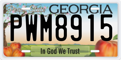 GA license plate PWM8915