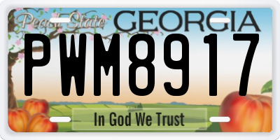GA license plate PWM8917