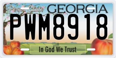 GA license plate PWM8918