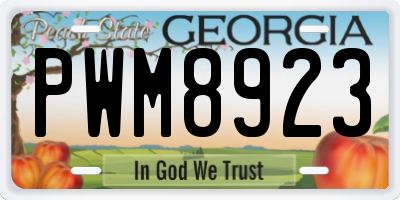GA license plate PWM8923