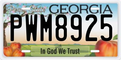GA license plate PWM8925