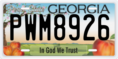 GA license plate PWM8926