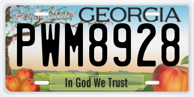GA license plate PWM8928