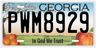GA license plate PWM8929