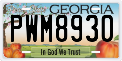 GA license plate PWM8930