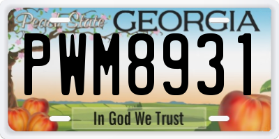 GA license plate PWM8931