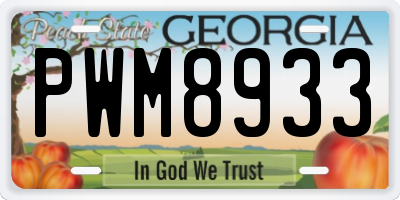 GA license plate PWM8933