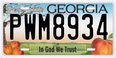 GA license plate PWM8934