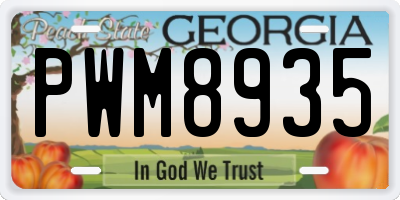 GA license plate PWM8935