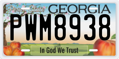 GA license plate PWM8938
