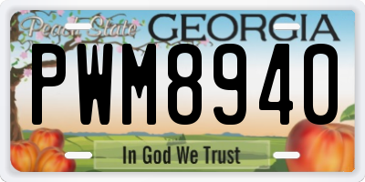 GA license plate PWM8940