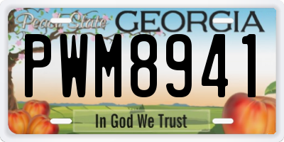 GA license plate PWM8941