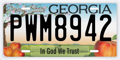 GA license plate PWM8942