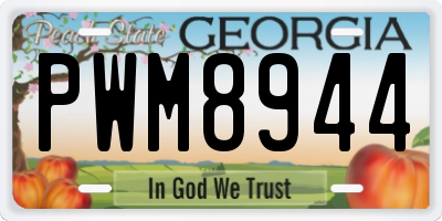 GA license plate PWM8944