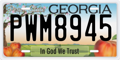 GA license plate PWM8945