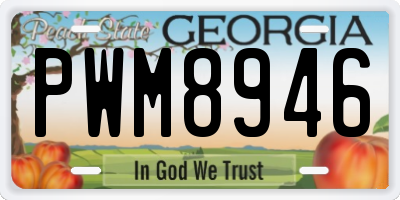 GA license plate PWM8946