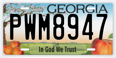 GA license plate PWM8947
