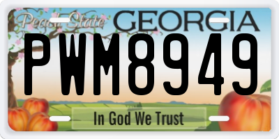 GA license plate PWM8949