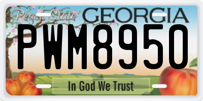 GA license plate PWM8950