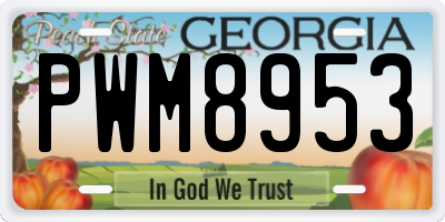 GA license plate PWM8953