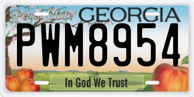 GA license plate PWM8954