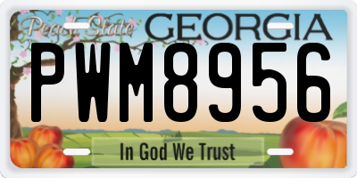 GA license plate PWM8956