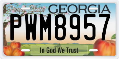 GA license plate PWM8957